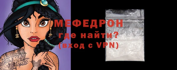 индика Волоколамск