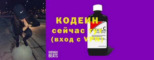 индика Волоколамск