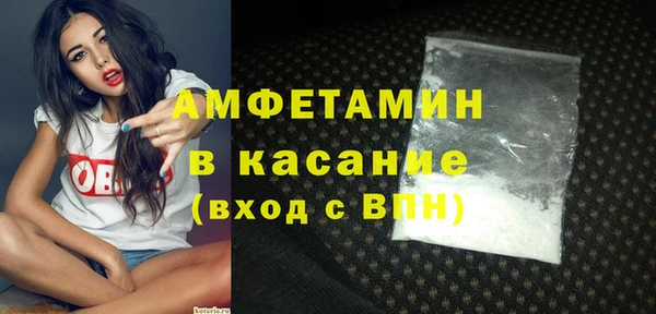индика Волоколамск