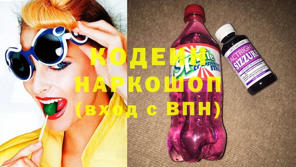 индика Волоколамск