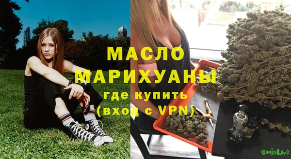 индика Волоколамск