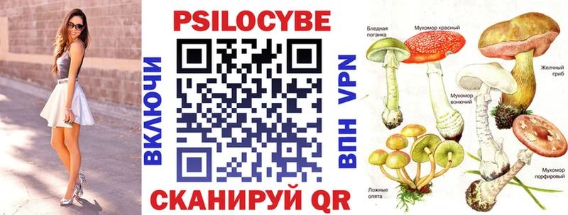 Галлюциногенные грибы Psilocybine cubensis Приволжский